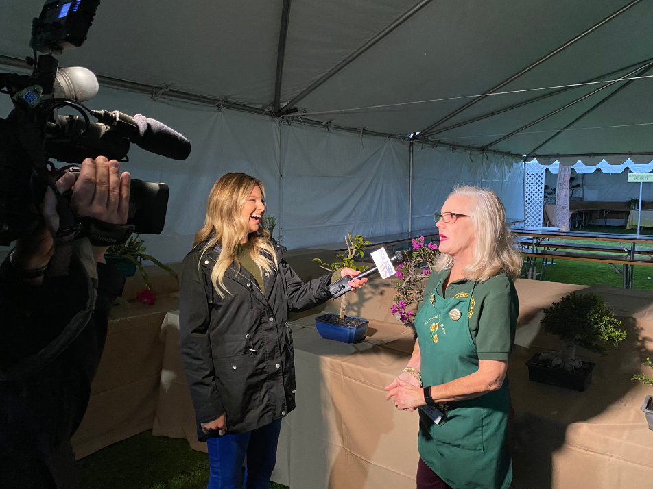 Scatena Daniels Website Results Kusi News Coronado Flower Show Interview