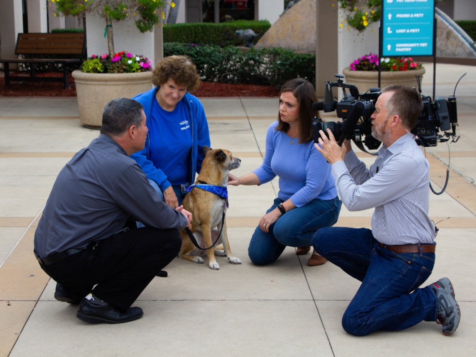 San Diego Humane Society, CEO, Gary Weitzman, SDHS women staffer, women interviewer, and male camera man squatting down outside of the Humane Society around a tan and white medium sized dog in blue bandana